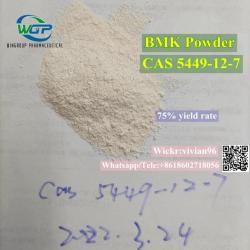 BMK Powder CAS 5449-12-7 to Netherlands/UK/Europe (1663925196/5)