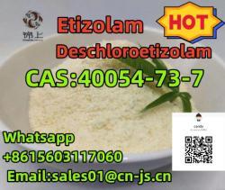 top quality 40054-73-7 Deschloroetizolam
